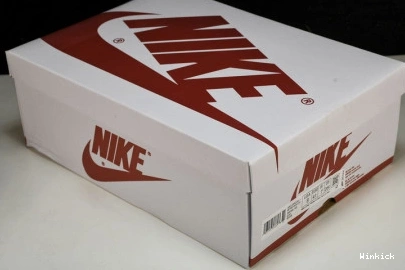 x Jordan Air 1 Travis OF Scott OW DM7890-103 0915